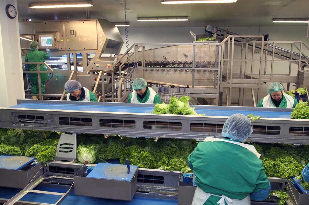 vegetables going through water